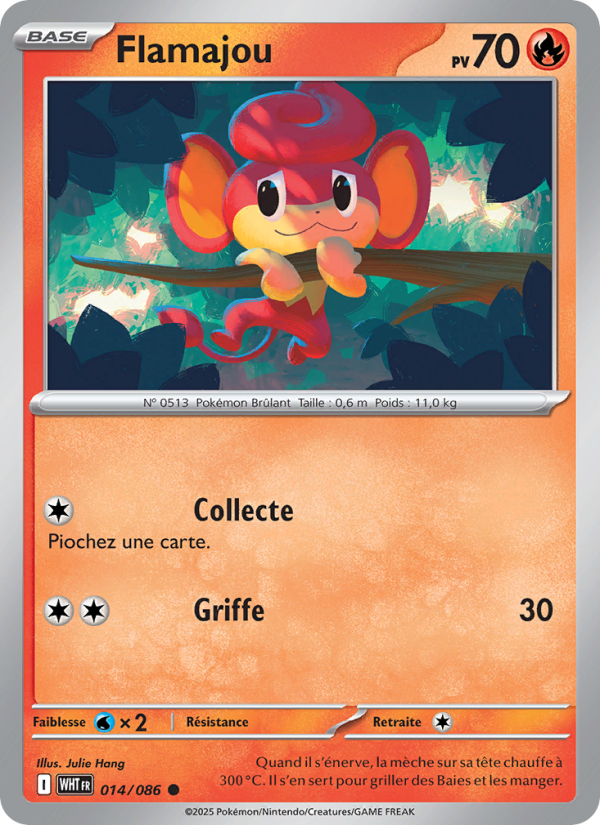 Flamajou 014 — Weiße Flammen (French Pokémon TCG card)