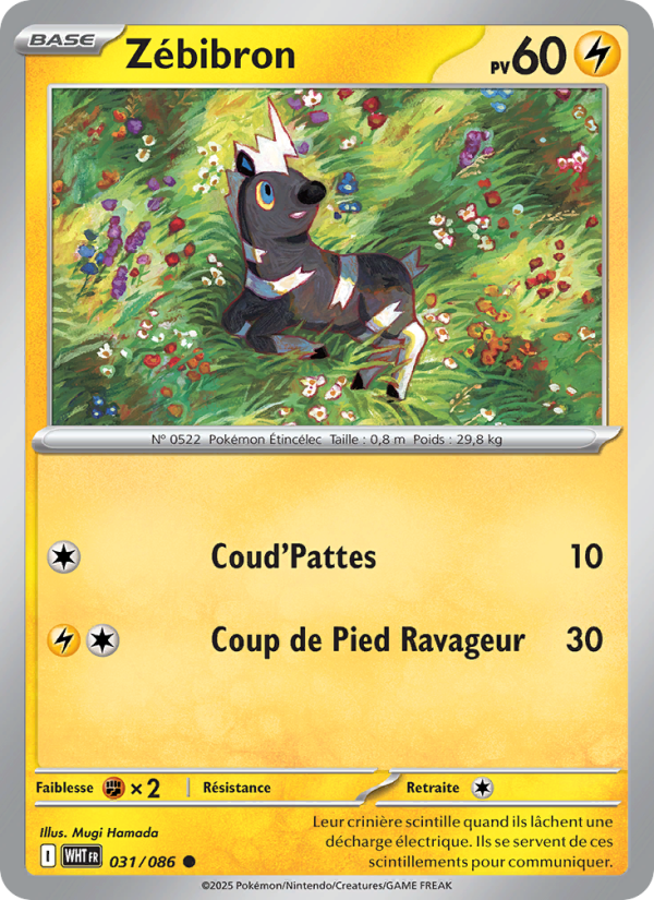 Zébibron 031 — Weiße Flammen (French Pokémon TCG card)