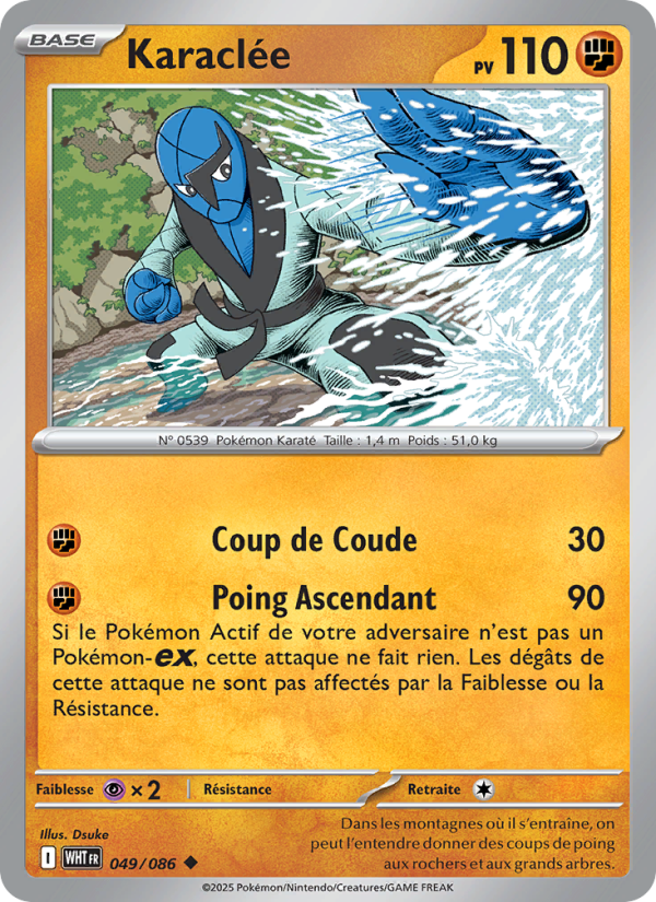 Karaclée 049 — Weiße Flammen (French Pokémon TCG card)