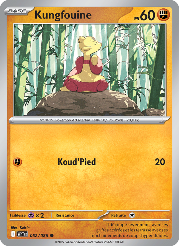 Kungfouine 052 — Weiße Flammen (French Pokémon TCG card)