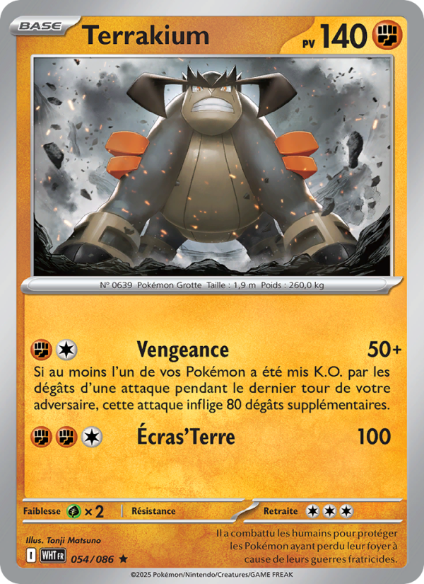 Terrakium 054 — Weiße Flammen (French Pokémon TCG card)