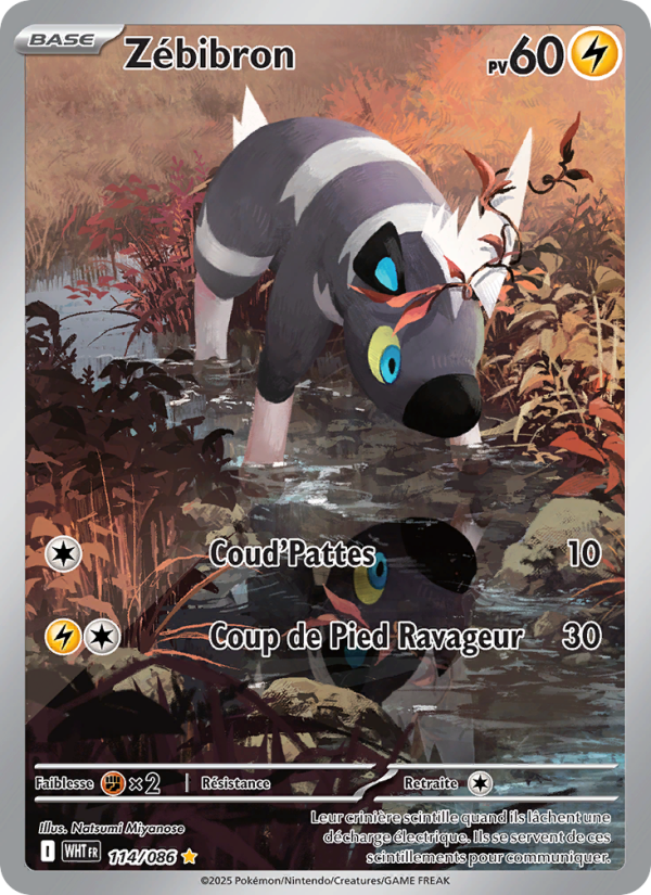 Zébibron 114 — Weiße Flammen (French Pokémon TCG card)