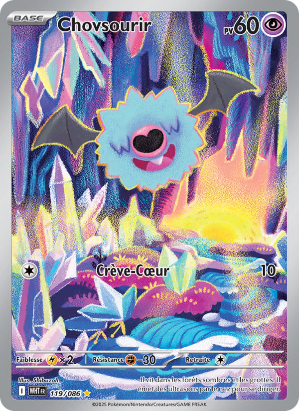 Chovsourir 119 — Weiße Flammen (French Pokémon TCG card)