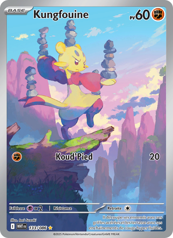 Kungfouine 133 — Weiße Flammen (French Pokémon TCG card)
