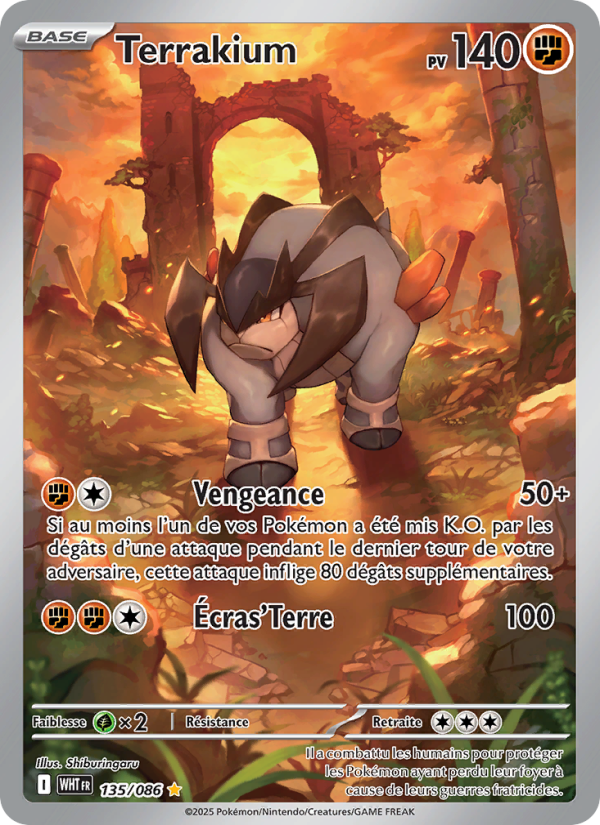 Terrakium 135 — Weiße Flammen (French Pokémon TCG card)