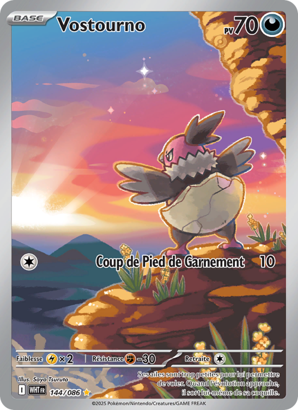Vostourno 144 — Weiße Flammen (French Pokémon TCG card)