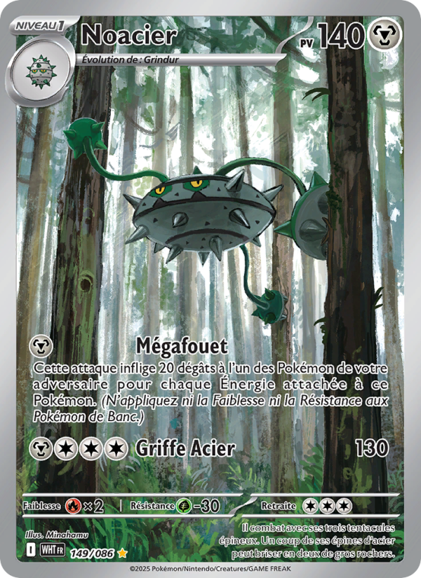 Noacier 149 — Weiße Flammen (French Pokémon TCG card)