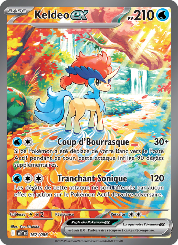 Keldeo-ex 167 — Weiße Flammen (French Pokémon TCG card)