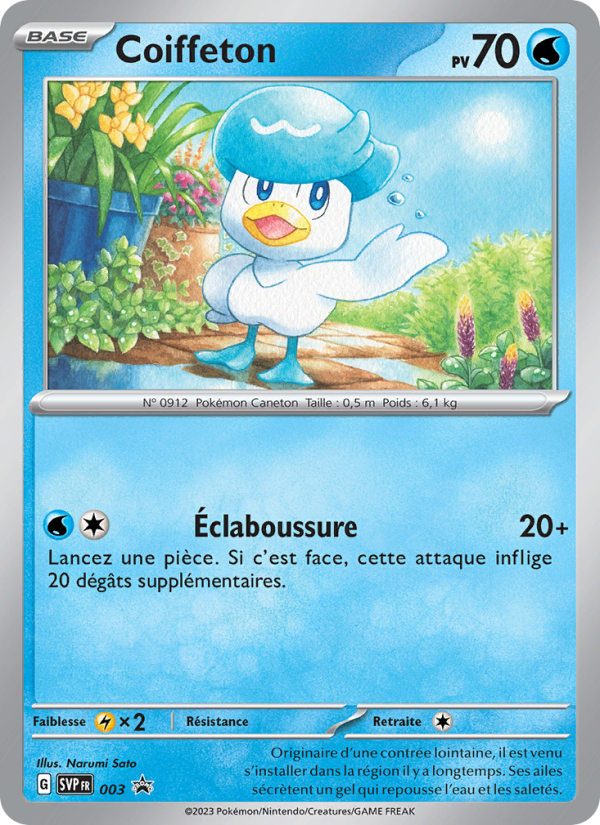 Coiffeton 003 — SVP Black Star Promos (French Pokémon TCG card)