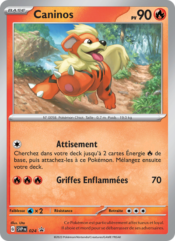Caninos 024 — SVP Black Star Promos (French Pokémon TCG card)