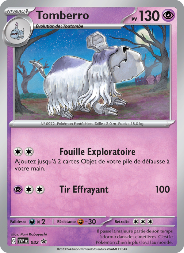 Tomberro 042 — SVP Black Star Promos (French Pokémon TCG card)