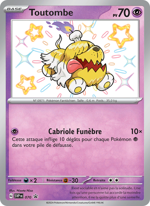Toutombe 070 — SVP Black Star Promos (French Pokémon TCG card)