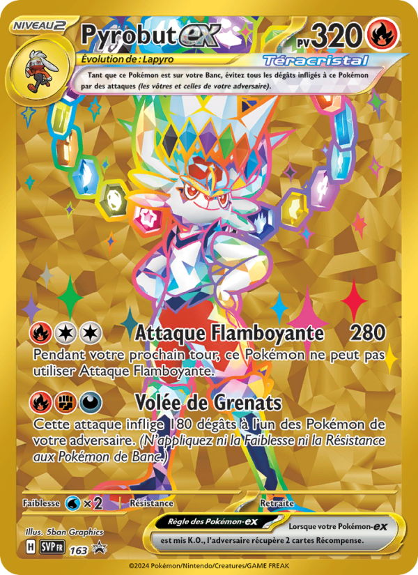 Pyrobut-ex 163 — SVP Black Star Promos (French Pokémon TCG card)