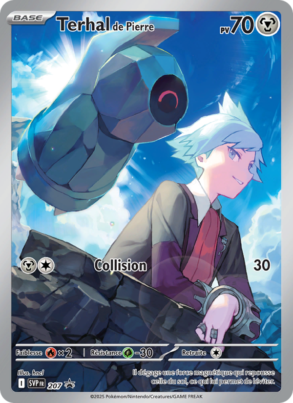 Terhal de Pierre 207 — SVP Black Star Promos (French Pokémon TCG card)