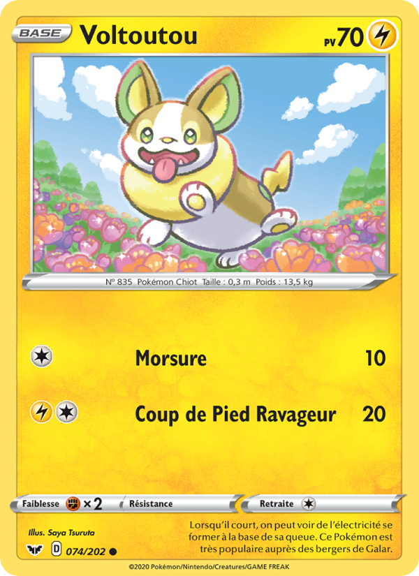 Voltoutou 74 — Sword & Shield (French Pokémon TCG card)