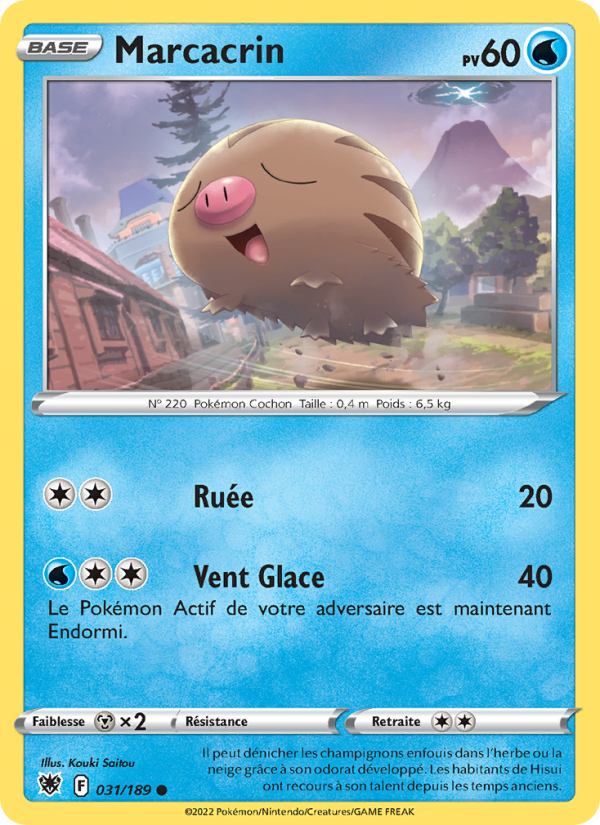 Marcacrin 031 — Astral Radiance (French Pokémon TCG card)