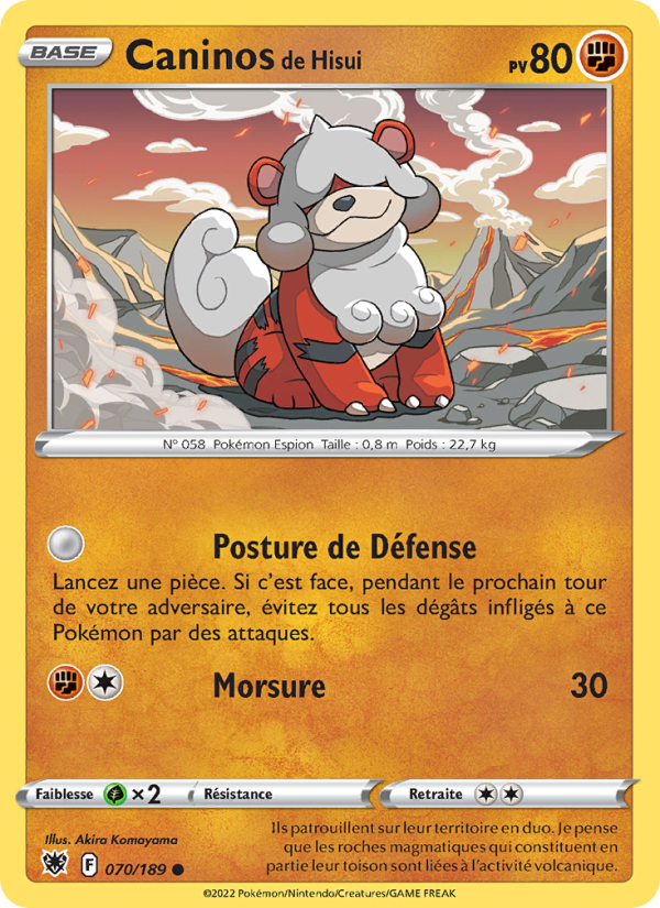 Caninos de Hisui 070 — Astral Radiance (French Pokémon TCG card)
