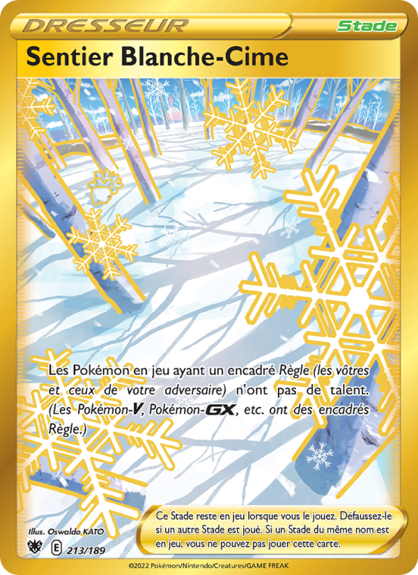 Sentier Blanche-Cime 213 — Astral Radiance (French Pokémon TCG card)