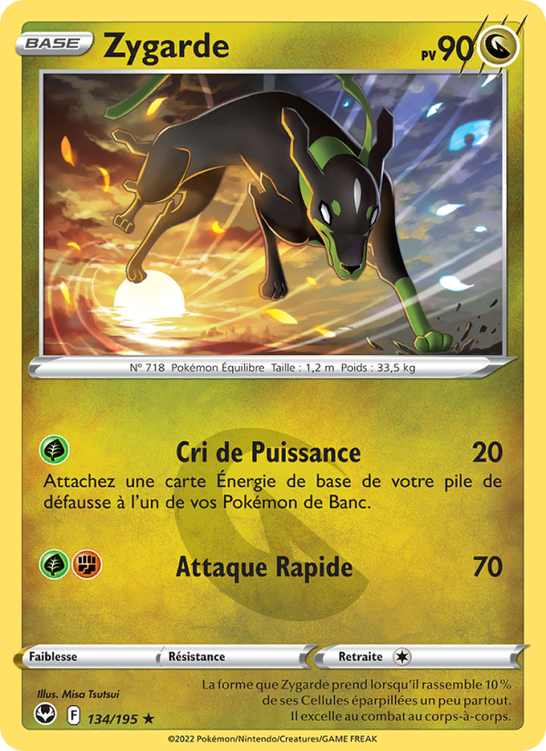Zygarde 134 — Silver Tempest (French Pokémon TCG card)