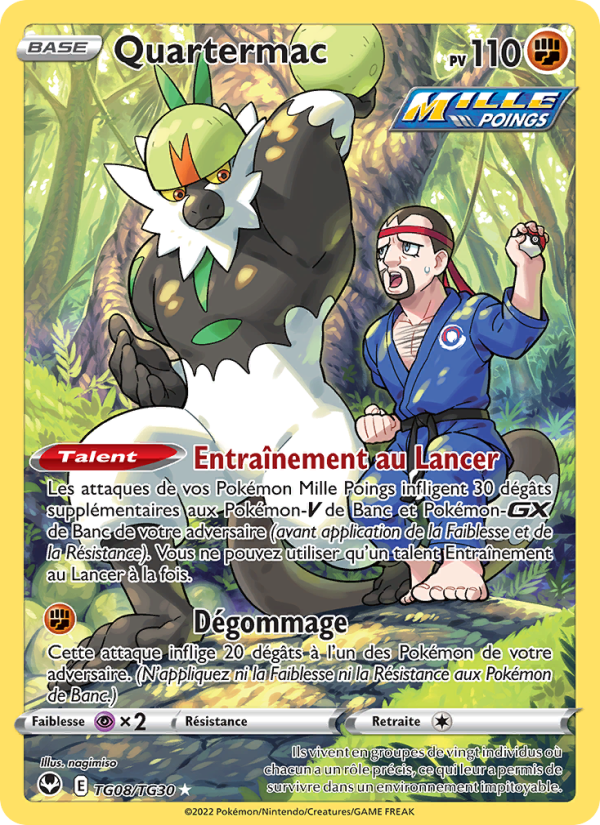 Quartermac TG08 — Silver Tempest (French Pokémon TCG card)