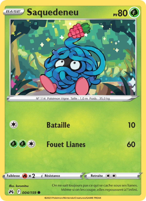 Saquedeneu 004 — Zenit der Könige (French Pokémon TCG card)