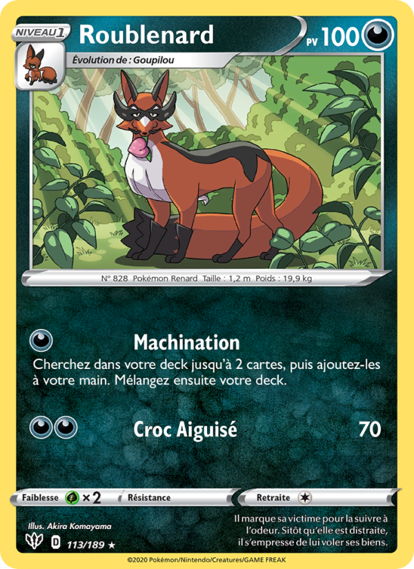 Roublenard 113 — Darkness Ablaze (French Pokémon TCG card)