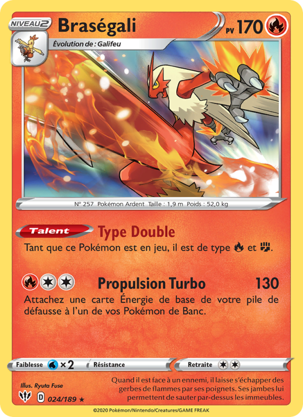 Braségali 24 — Darkness Ablaze (French Pokémon TCG card)