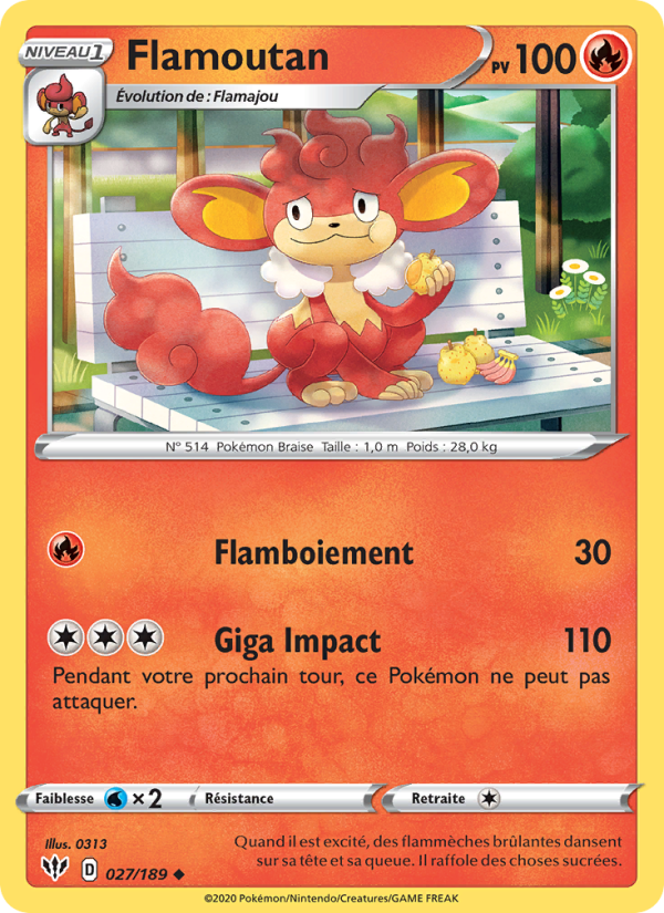 Flamoutan 27 — Darkness Ablaze (French Pokémon TCG card)