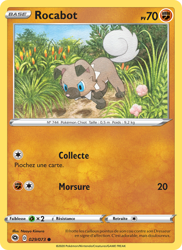 Rocabot 29 — Weg des Champs (French Pokémon TCG card)