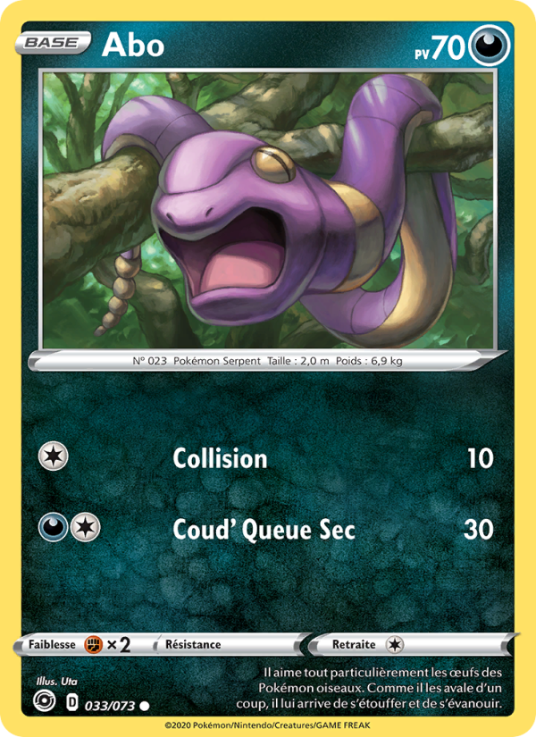 Abo 33 — Weg des Champs (French Pokémon TCG card)