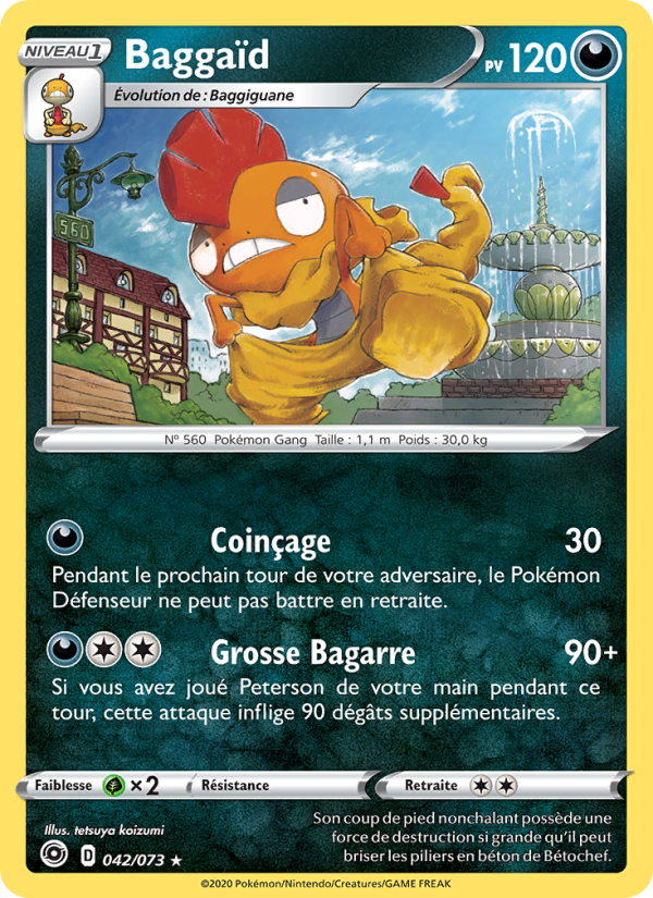 Baggaïd 42 — Weg des Champs (French Pokémon TCG card)