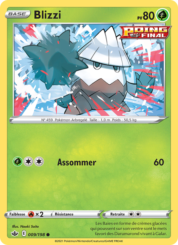 Blizzi 9 — Chilling Reign (French Pokémon TCG card)
