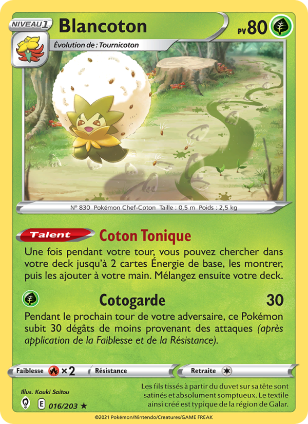 Blancoton 16 — Evolving Skies (French Pokémon TCG card)