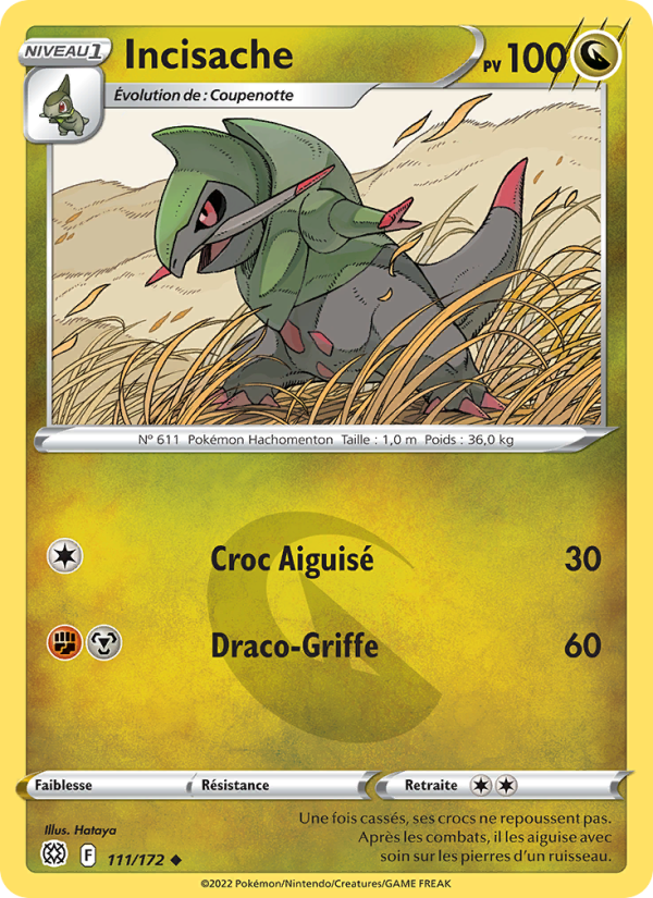 Incisache 111 — Brilliant Stars (French Pokémon TCG card)