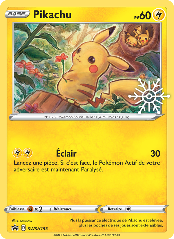 Pikachu SWSH153 — Sword & Shield Promos (French Pokémon TCG card)
