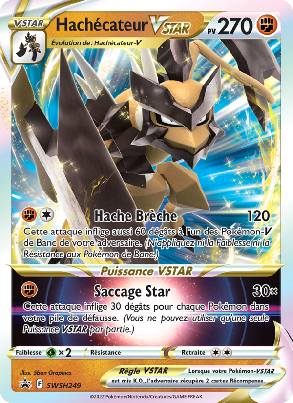 Hachécateur VSTAR SWSH249 — Sword & Shield Promos (French Pokémon TCG card)