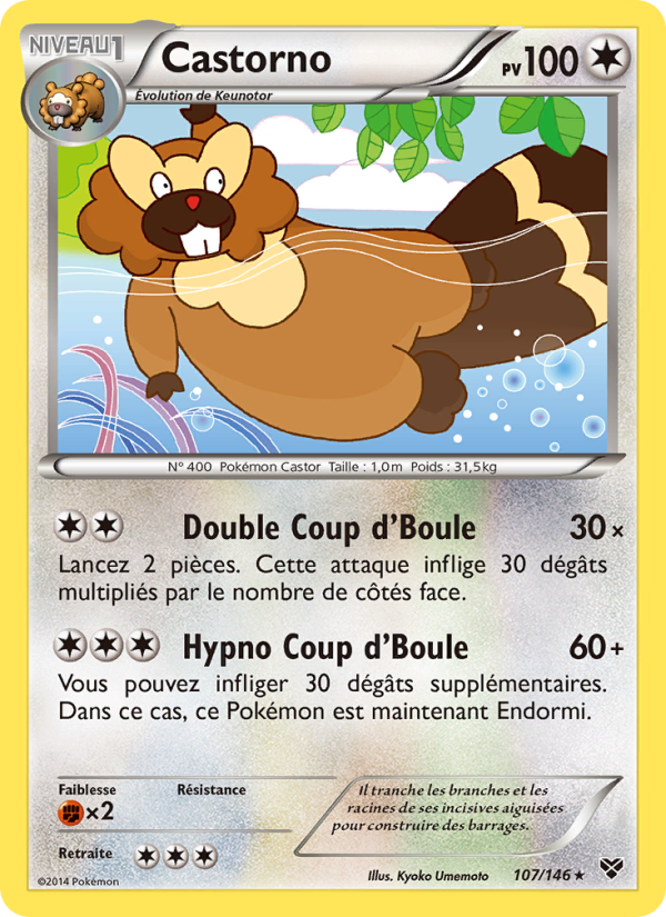 Castorno 107 — XY (French Pokémon TCG card)