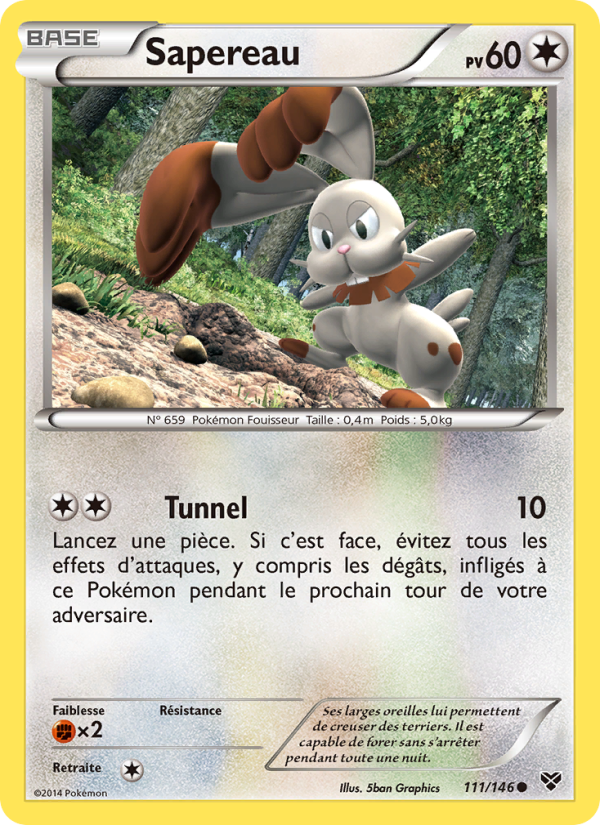 Sapereau 111 — XY (French Pokémon TCG card)