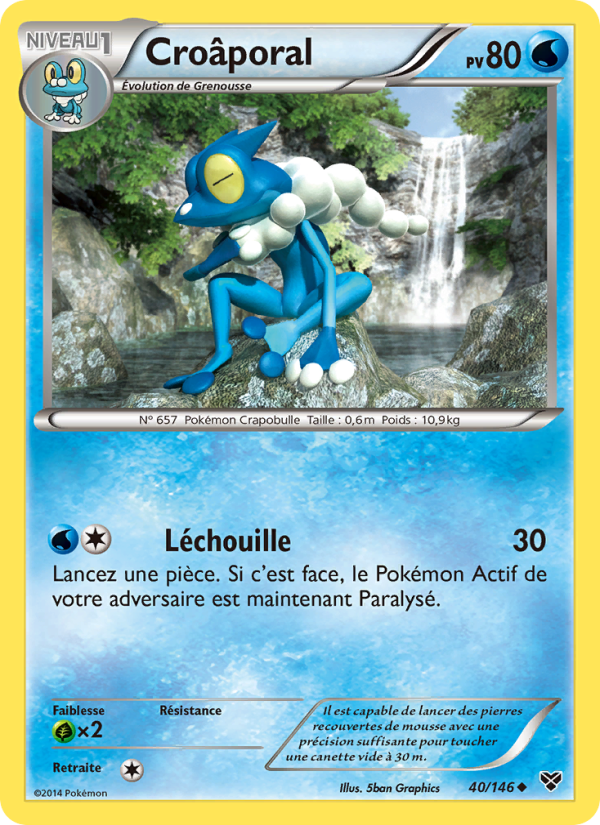Croâporal 40 — XY (French Pokémon TCG card)