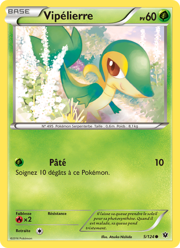 Vipélierre 5 — Fates Collide (French Pokémon TCG card)