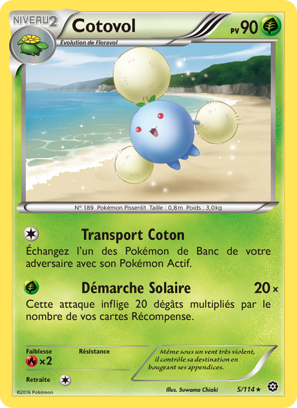 Cotovol 5 — Steam Siege (French Pokémon TCG card)