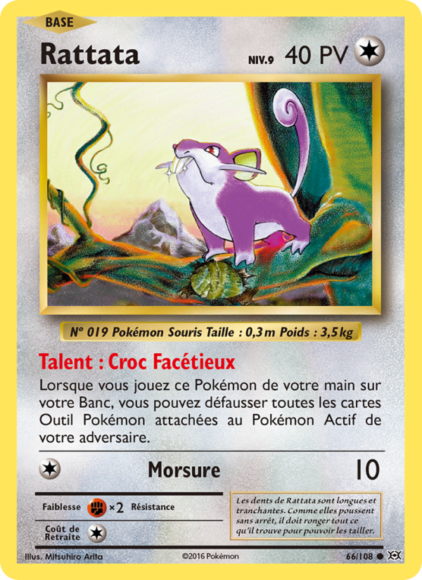 Rattata 66 — Evolutions (French Pokémon TCG card)