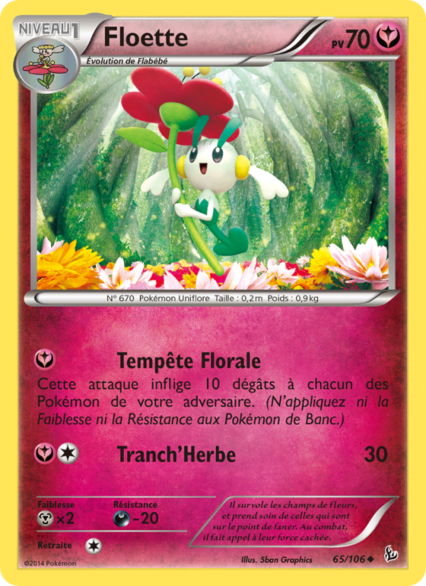 Floette 65 — Flashfire (French Pokémon TCG card)