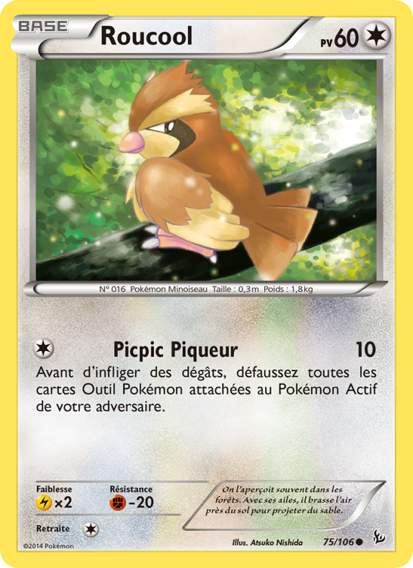 Roucool 75 — Flashfire (French Pokémon TCG card)