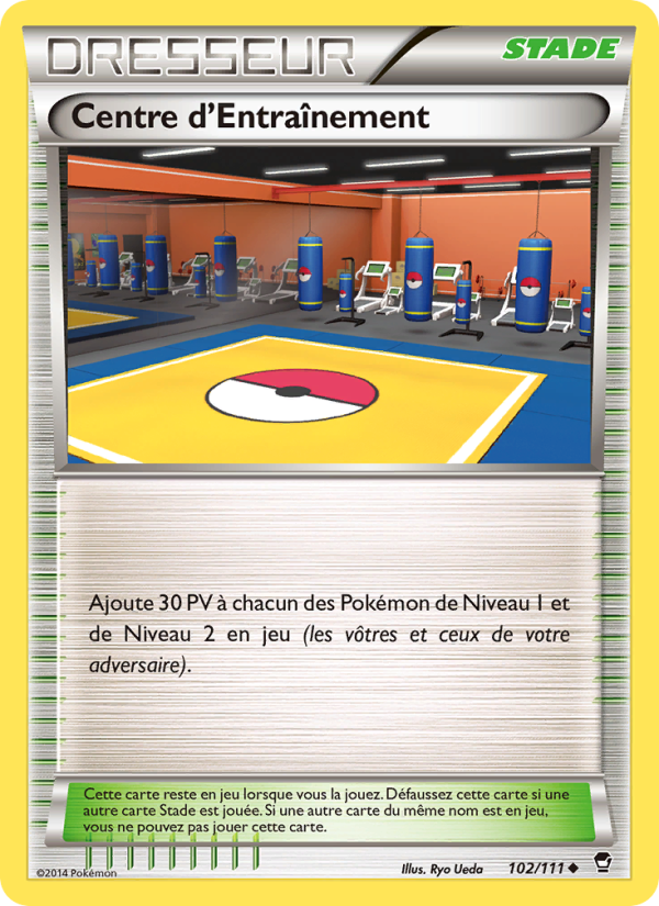 Centre d'Entraînement 102 — Furious Fists (French Pokémon TCG card)