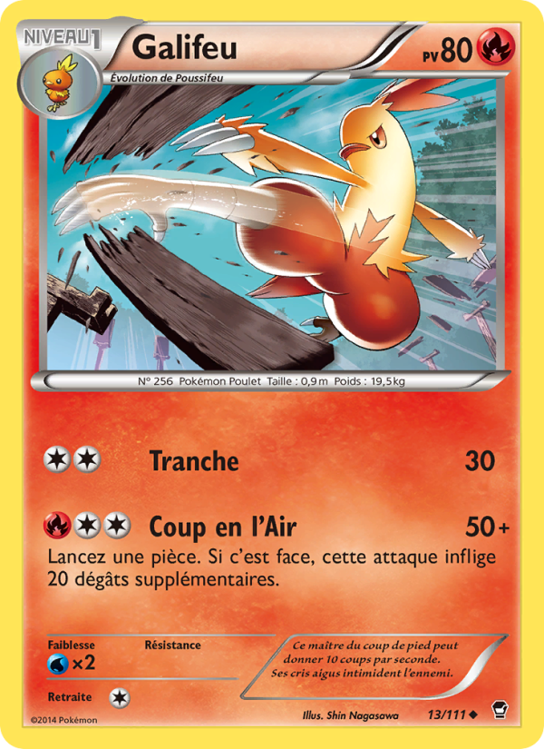 Galifeu 13 — Furious Fists (French Pokémon TCG card)