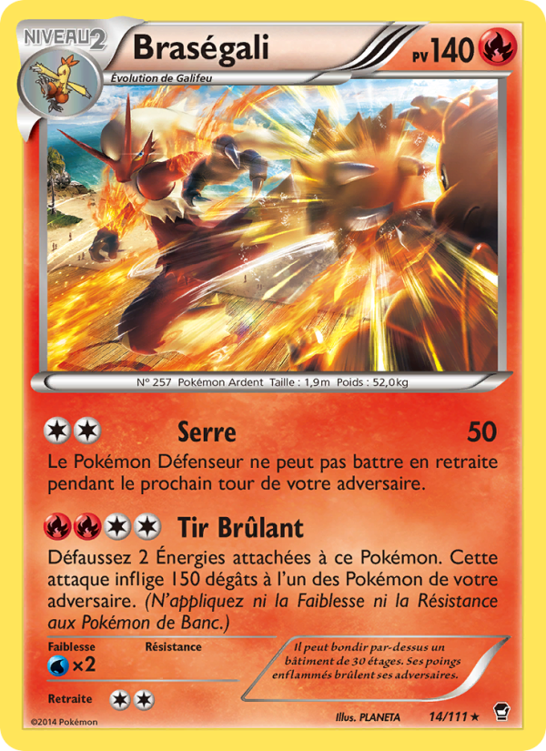 Braségali 14 — Furious Fists (French Pokémon TCG card)