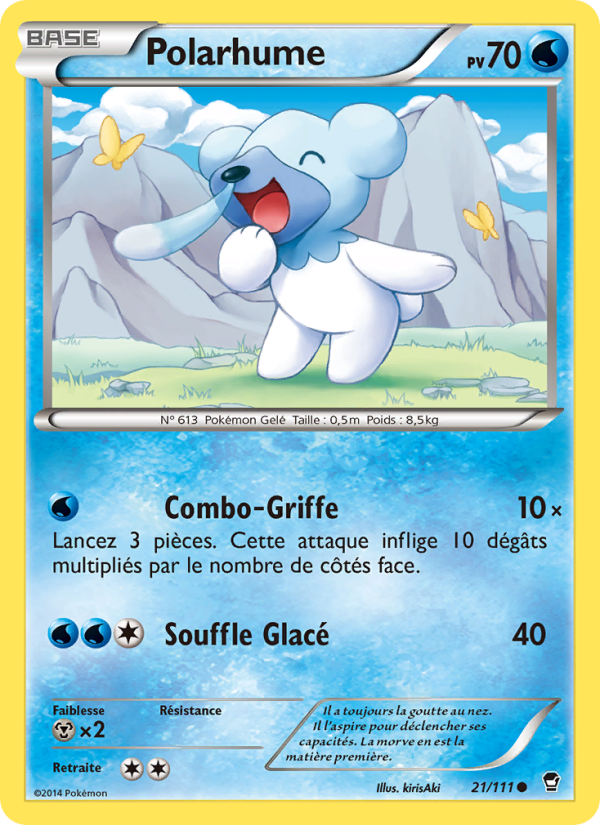 Polarhume 21 — Furious Fists (French Pokémon TCG card)