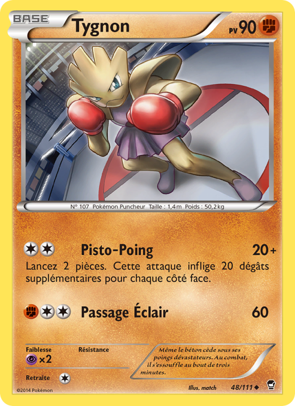 Tygnon 48 — Furious Fists (French Pokémon TCG card)