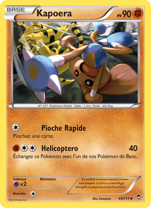 Kapoera 49 — Furious Fists (French Pokémon TCG card)